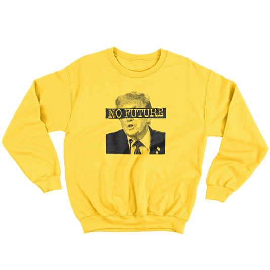 Kintu Felpa Girocollo Unisex Donald No Future Trump - Punk